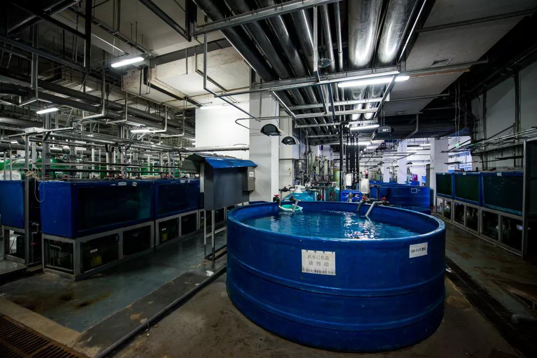 蠕動泵用于(yu)克服三種廢(fèi)水問題